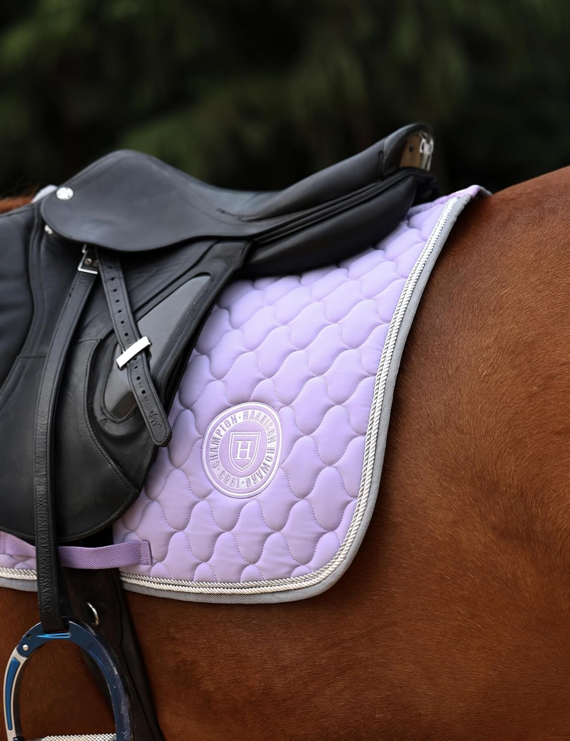 All Purpose Saddle Pad, English Saddle Pad, Wither Contour
