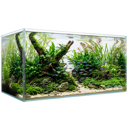 20 Gallon Rectangular Fish Tank, Rimless Ultra Clear Nano Aquarium