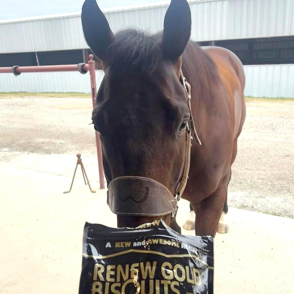 Renew Gold Bisquits, All Natural Horse Treats, Coconut, Carrots, Apple & Cinnamon, 32oz