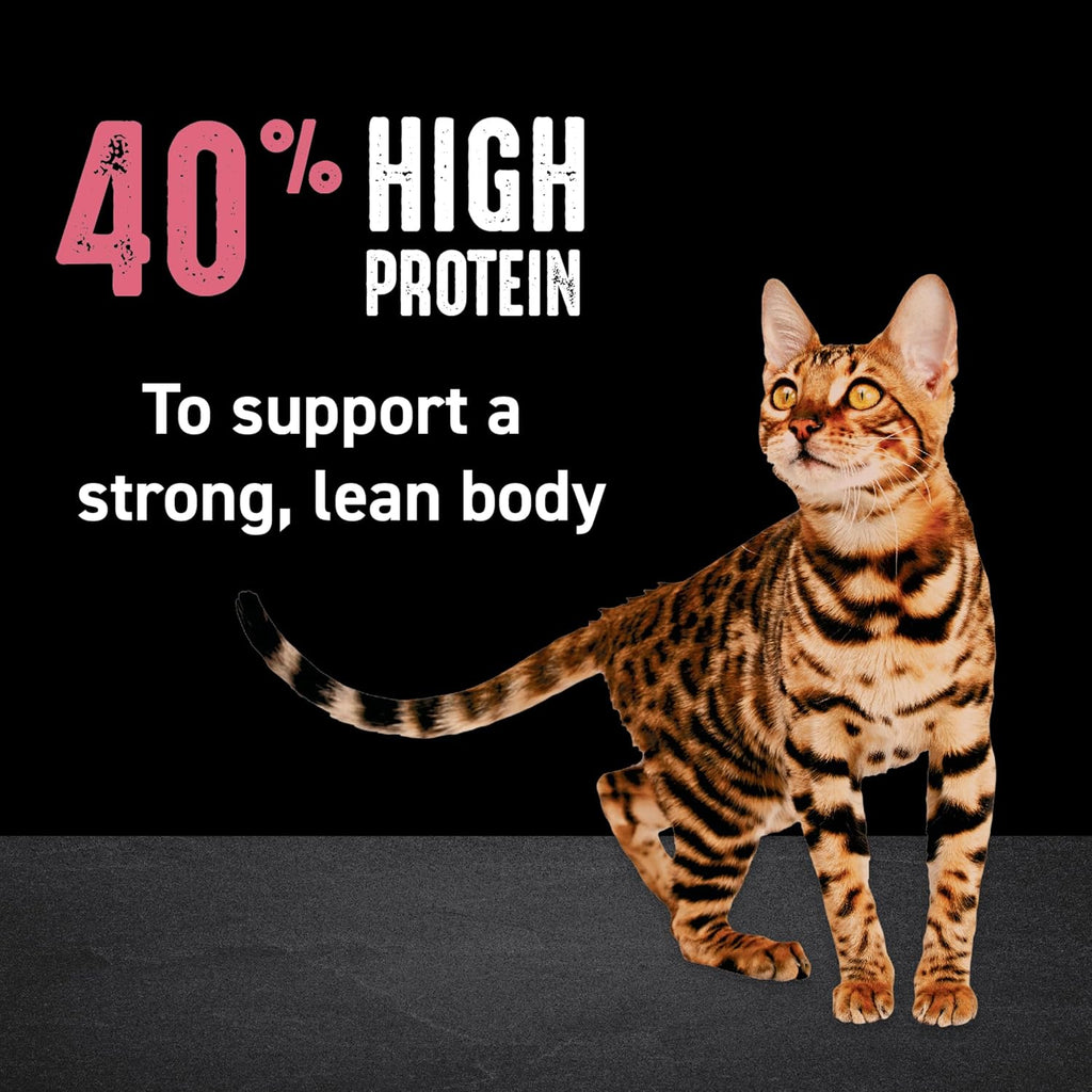 Grain Free High Protein Indoor Dry Cat Food, Chicken & Salmon, 2 lb