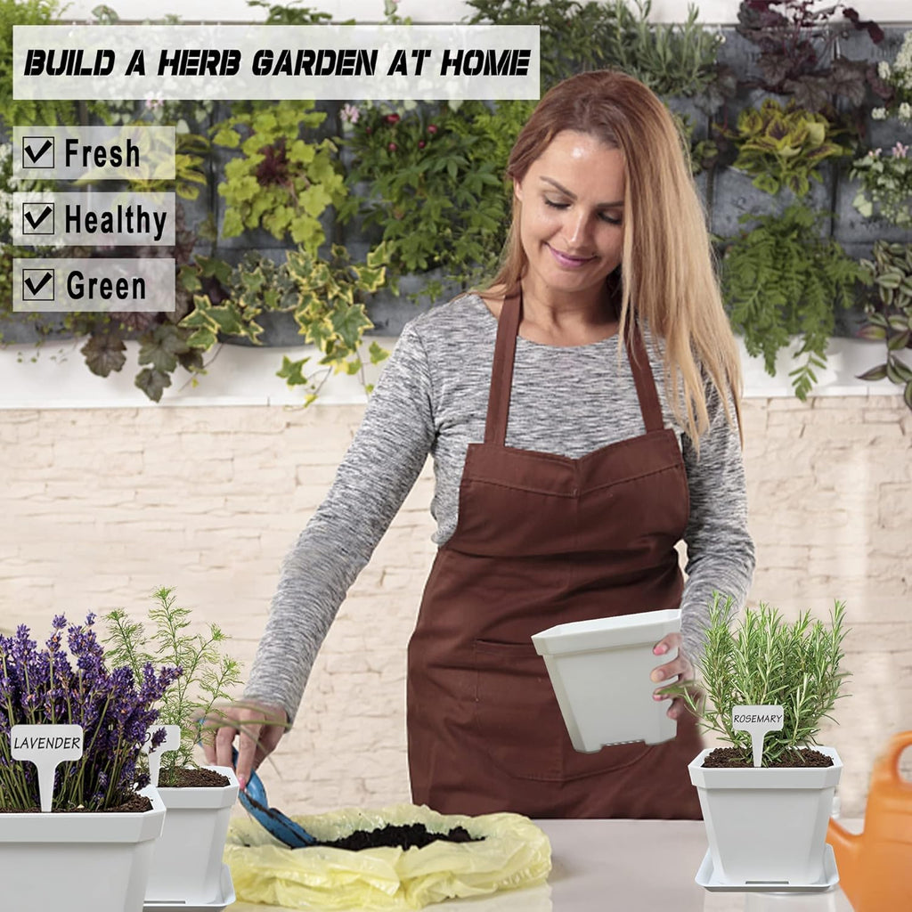 10 Herb Seeds Garden Starter Grow Kit with White Pots, Markers, Nutritional Soil, Watering, Herb Clipper, Complete