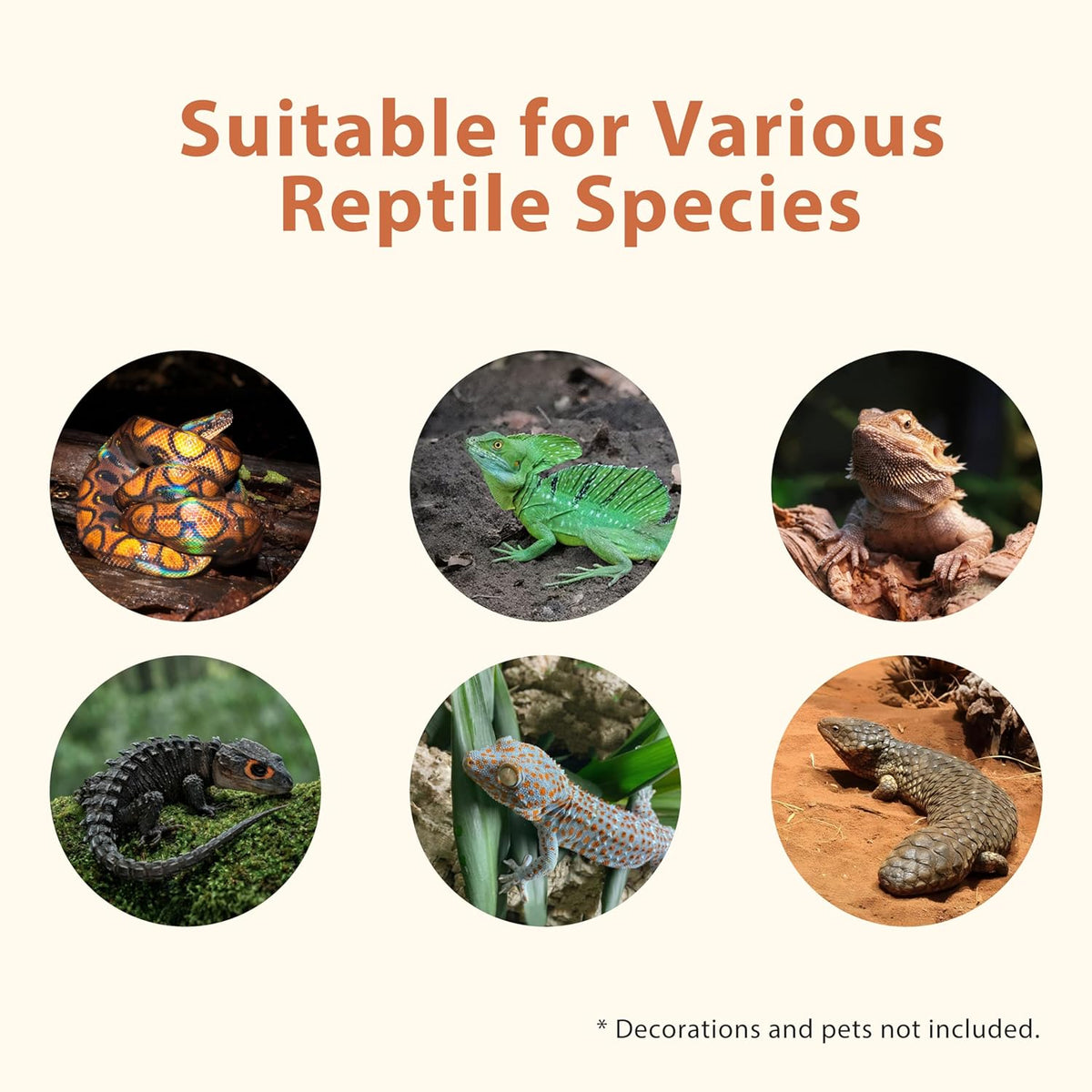 20 Gallon PVC Reptile Enclosure, RepWild 24"x18"x12" Terrarium/Tank with Heavy-Duty Screen Top, Glass Sliding Doors &