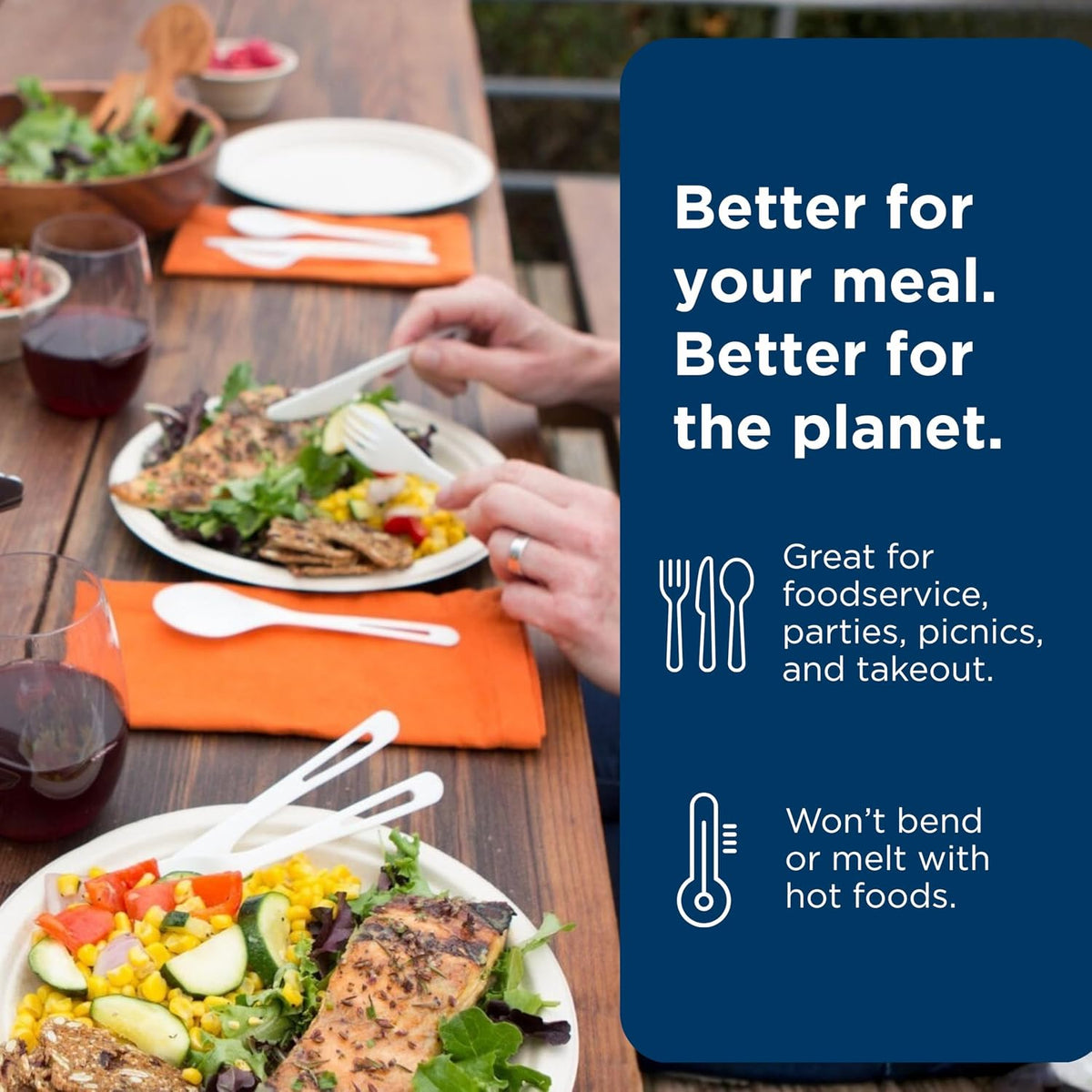 Compostable TPLA Assorted Cutlery, Pack of 250