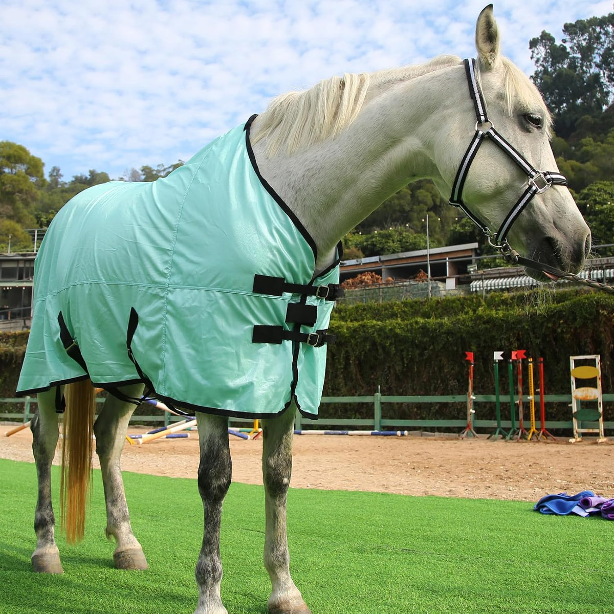 Horse Fly Sheet, Standard Neck, Breathable Fine Mesh Summer Sheet