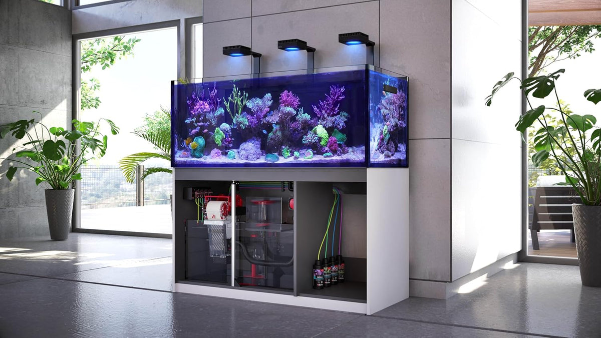 Reef Red Sea SPEC Carbon - Aquarium Filter Media (1000 ML / 32 OZ), (Model: 37410)