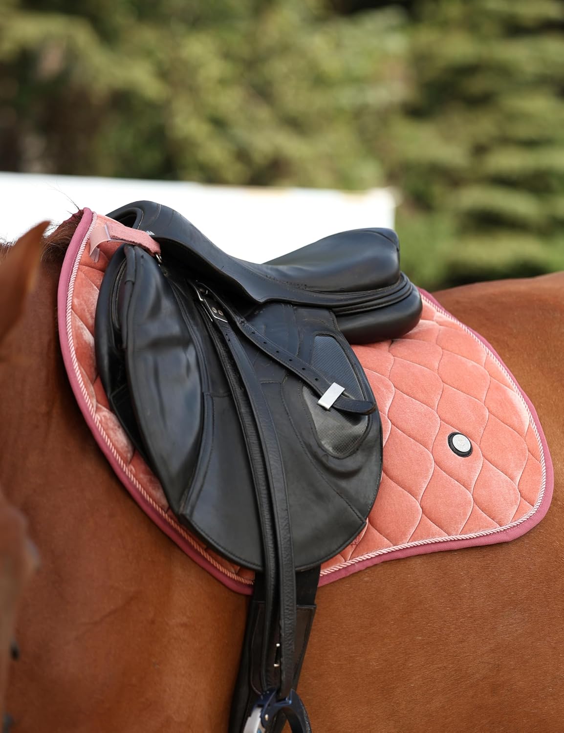 Close Contact Horse Saddle Pad for Jumping, w/Velvet Hue