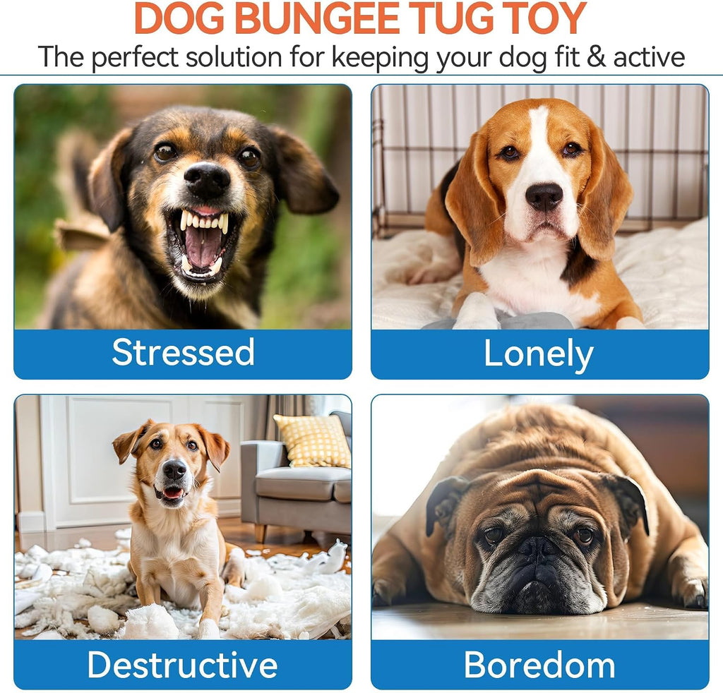 Dog Bungee Tug Toy, Outdoor Hanging Bungee from Tree for Chase & Tug Fun, Interactive Tug-of-War Toy for Small and