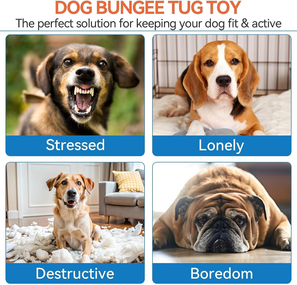 Dog Bungee Tug Toy, Outdoor Hanging Bungee from Tree for Chase & Tug Fun, Interactive Tug-of-War Toy for Small and