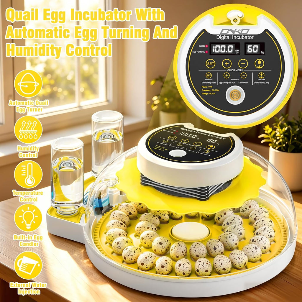 40 Quail Egg Incubator with Automatic Egg Turning Humidity Control Eggs