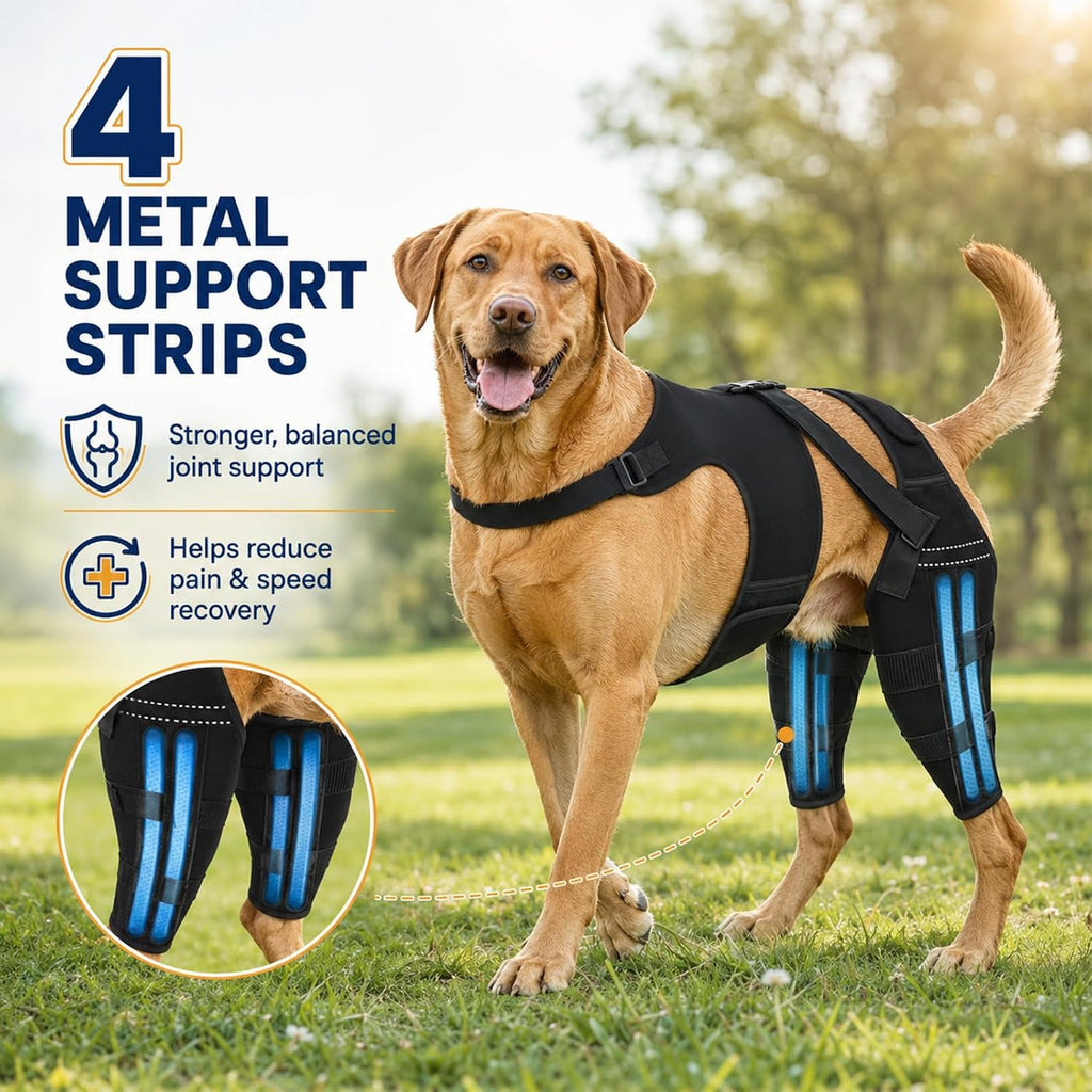 Adjustable Dog Knee Braces for Back Leg – Dual Hind Leg Support with Harness – Orthopedic Wrap for ACL CCL Tear