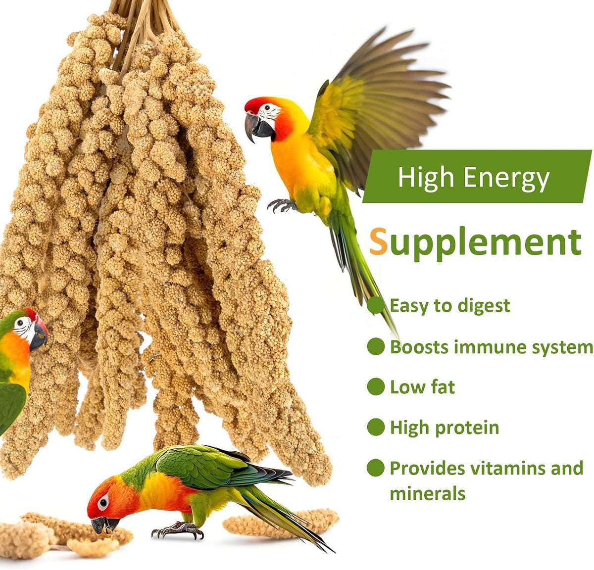 Spray Millet for Birds 5LB - All Natural Sun-Dried Healthy Treat, Millet Spray for Parakeets, Parrots, Lovebirds