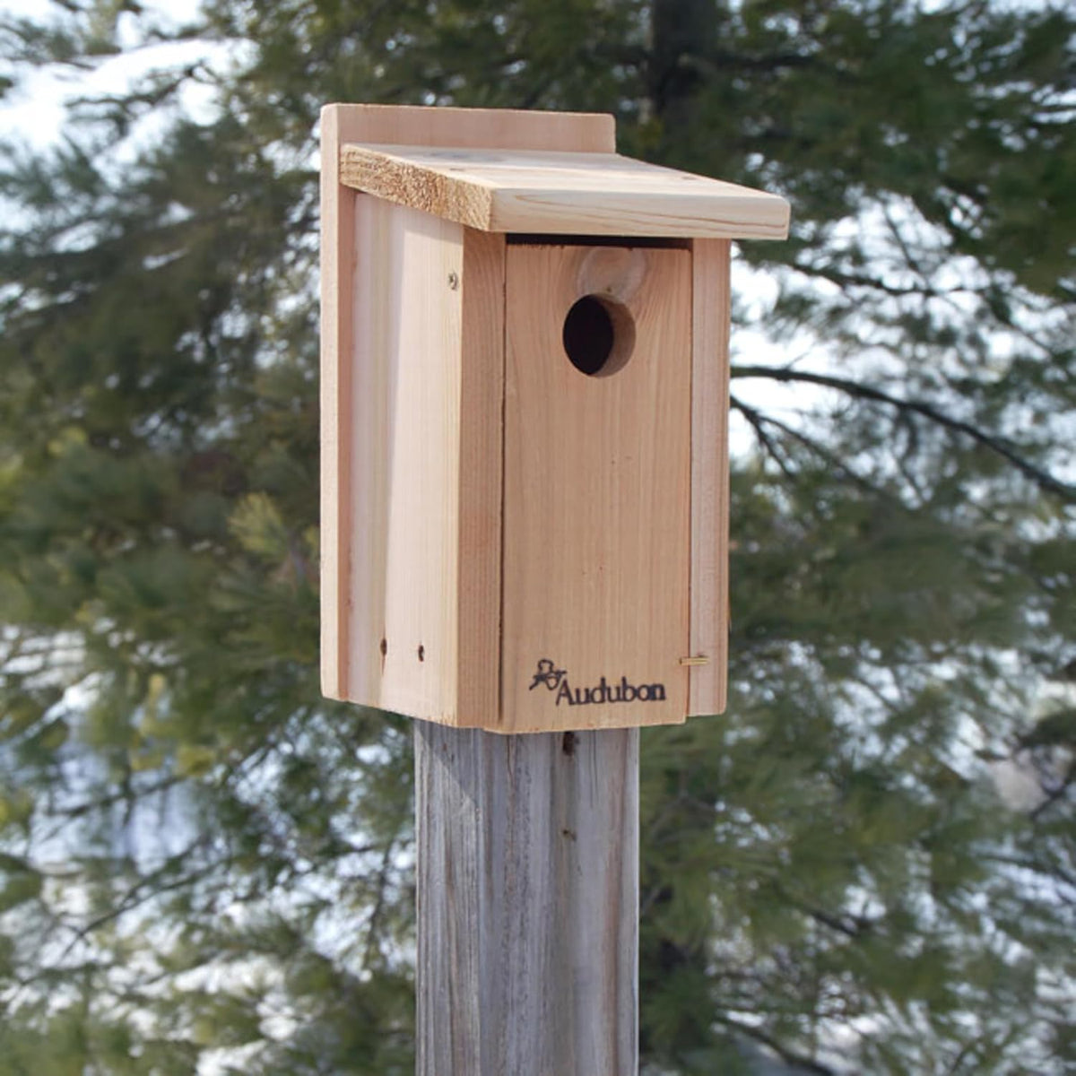 NABB Audubon Cedar Bluebird House