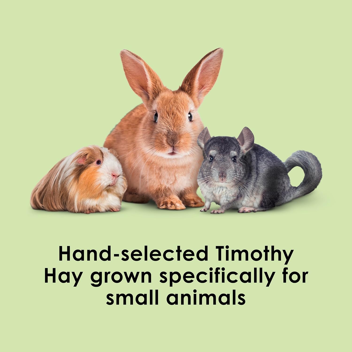 Timothy Hay, High Fiber for Rabbits, Guinea Pigs, 96 Ounces | Supports digestive health. Hand-selected rabbit hay.