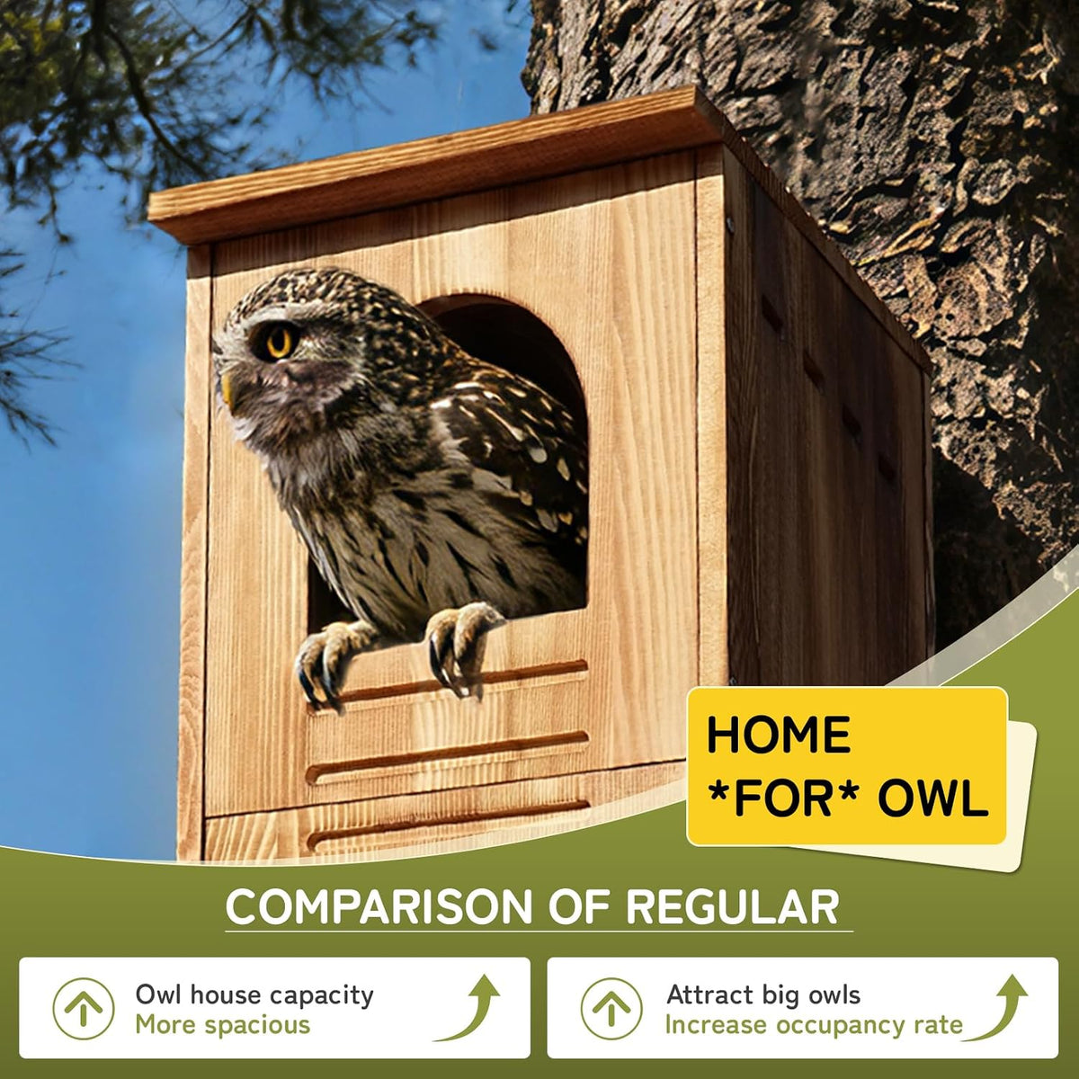 Barred Owl House, 25" Extra Large Owl Bird Box Handmade