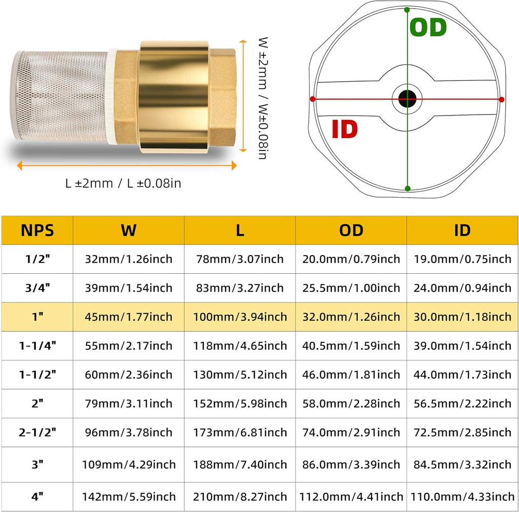 1" NPT Foot Valve with Filter, Brass, Heavy Duty, Female Thread, DN25