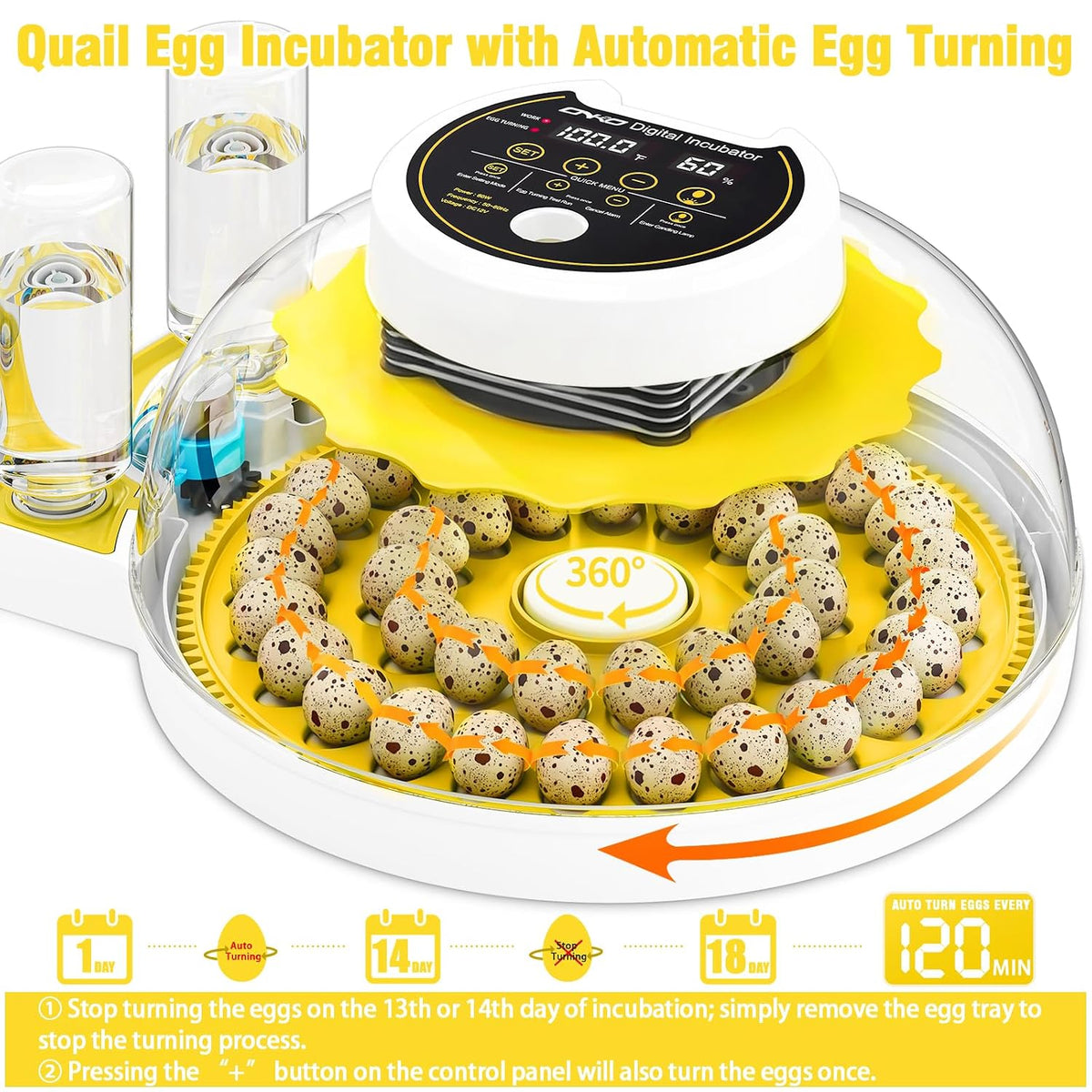 40 Quail Egg Incubator with Automatic Egg Turning Humidity Control Eggs