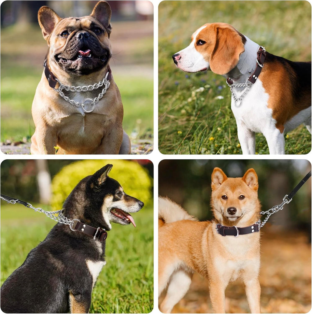 Leather Martingale Dog Collar, Genuine & Stainless Steel Chain Martingale Collar No-Pull Adjustable Anti-Slip
