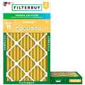 14x25x2 Air Filter MERV 11 Pet & Allergy Defense (2-Pack)