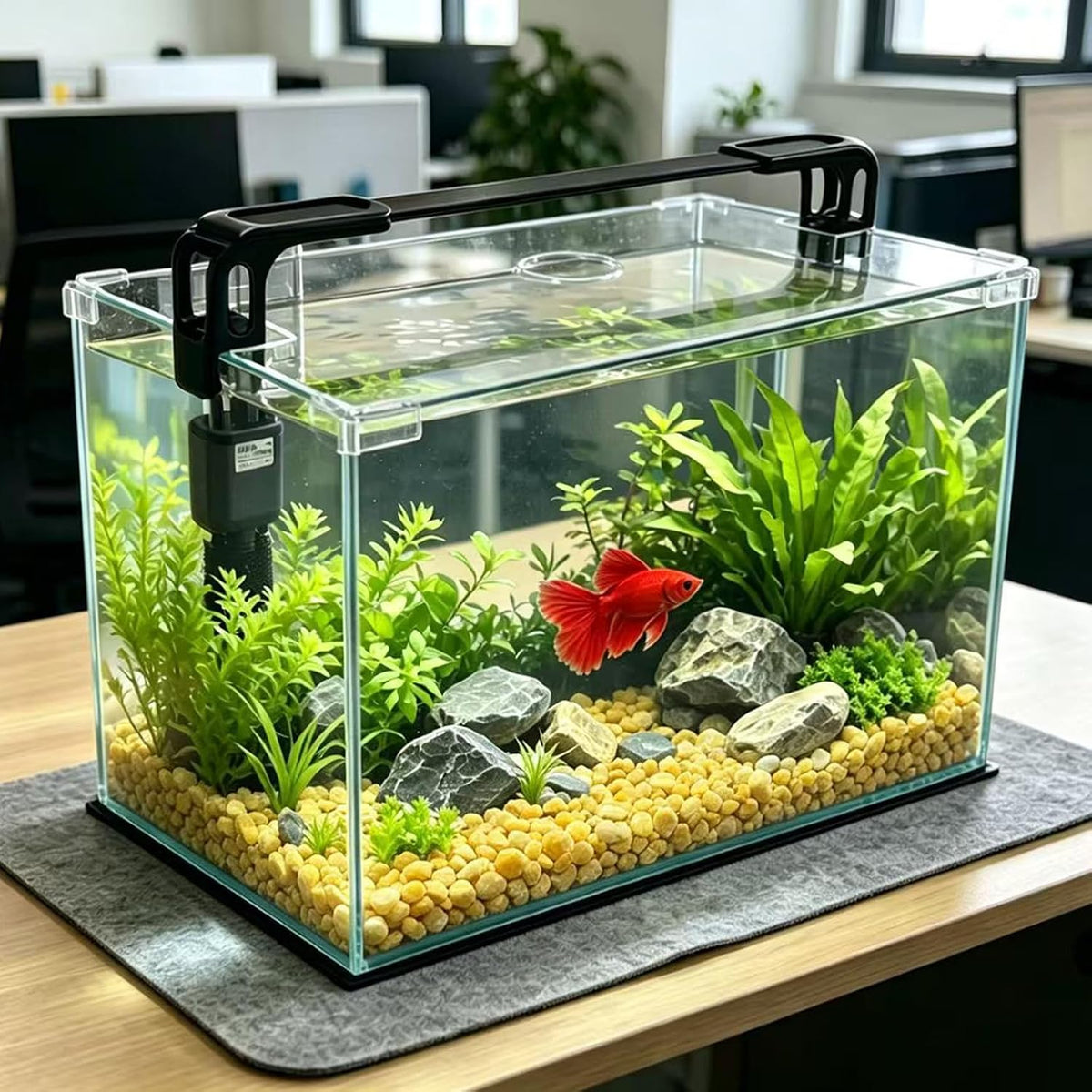 10 Gallon Glass Fish Tank, Easy to Maintain Small Aquarium for Betta/Shrimp and Aquatic Planting.