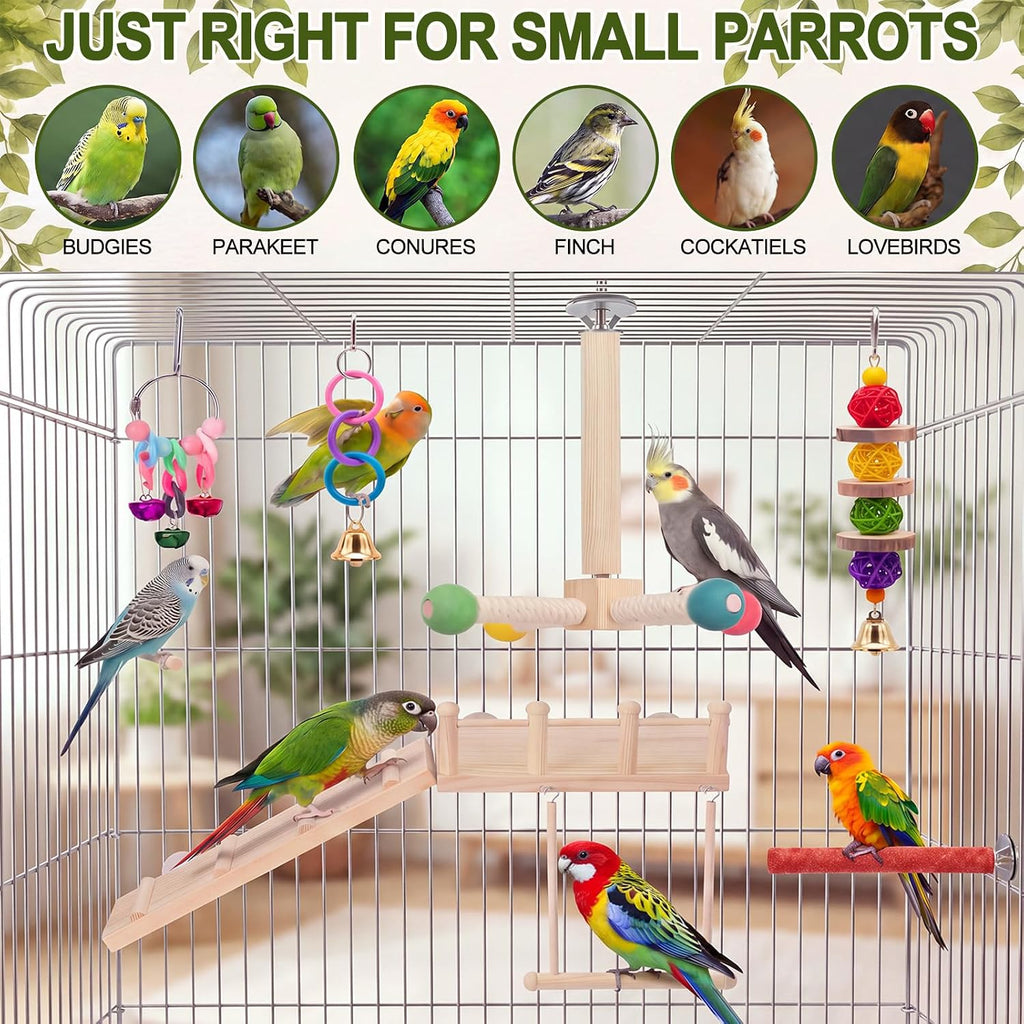 6 Pack Bird Parakeet Toys, Bird Perch & Swing Chewing Toys, Basic