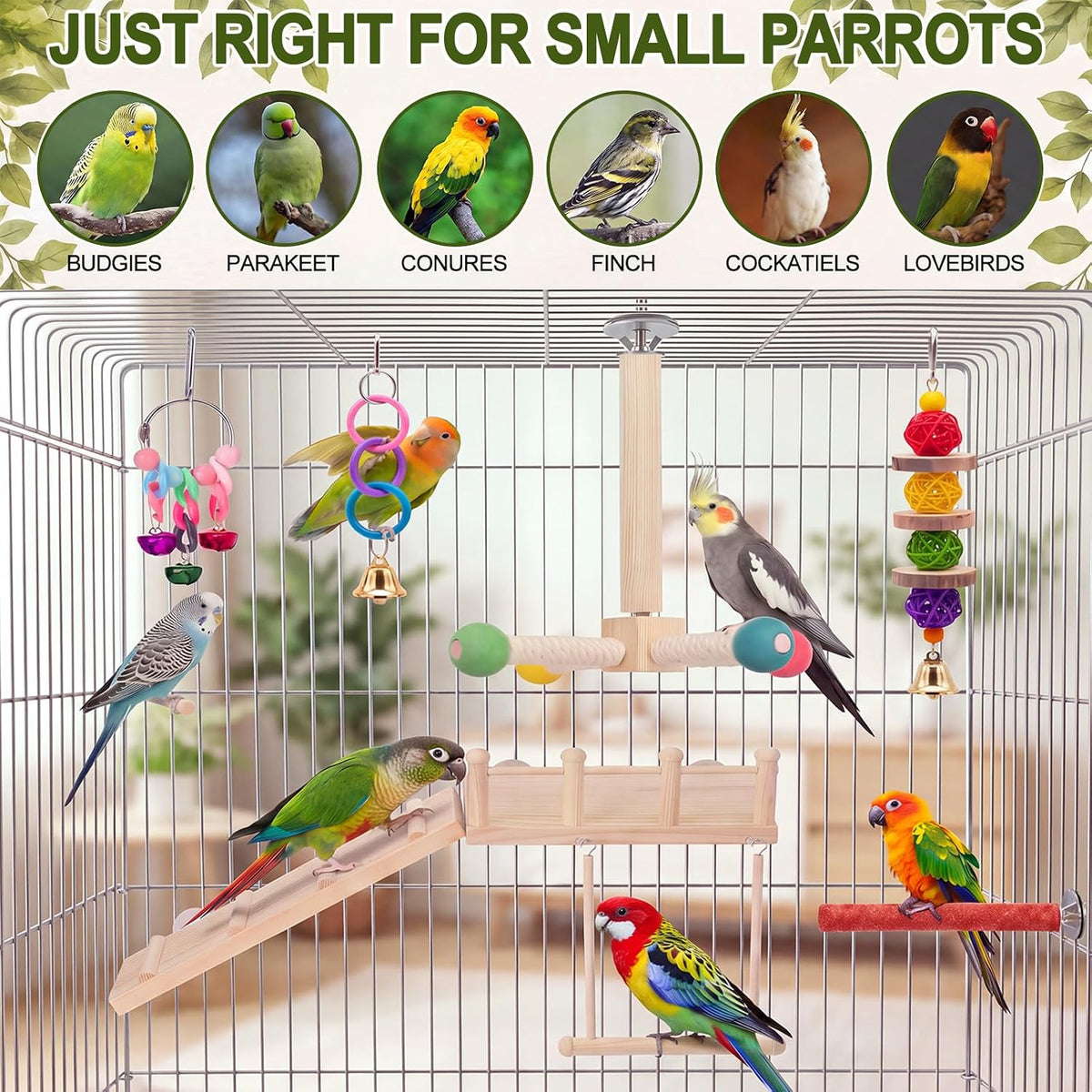 6 Pack Bird Parakeet Toys, Bird Perch & Swing Chewing Toys, Basic
