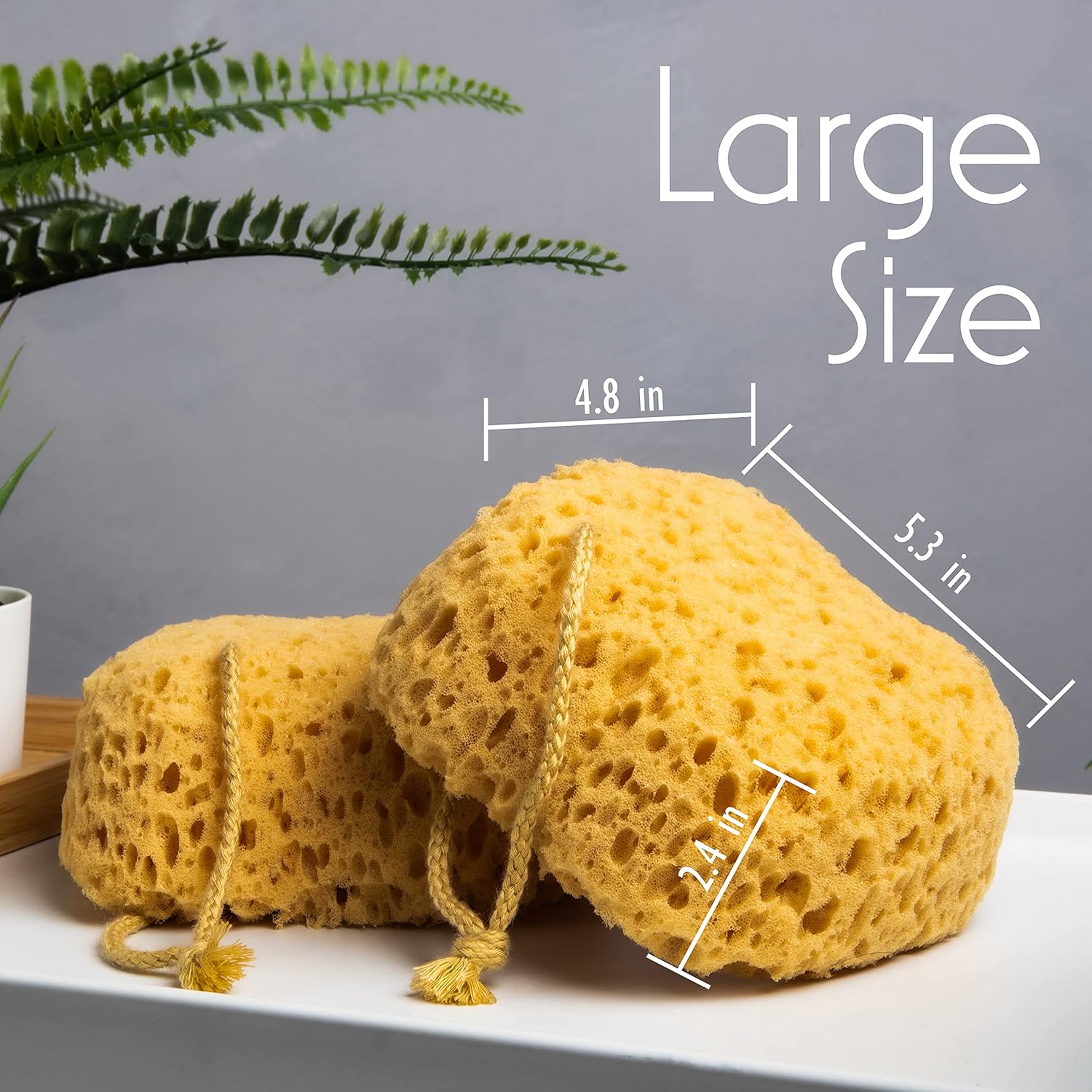 Bath Sponge, Foam Loofah, Body Scrubber for Bathing, Exfoliating Shower Pouf for Shower – Large Size, Lots of Lather