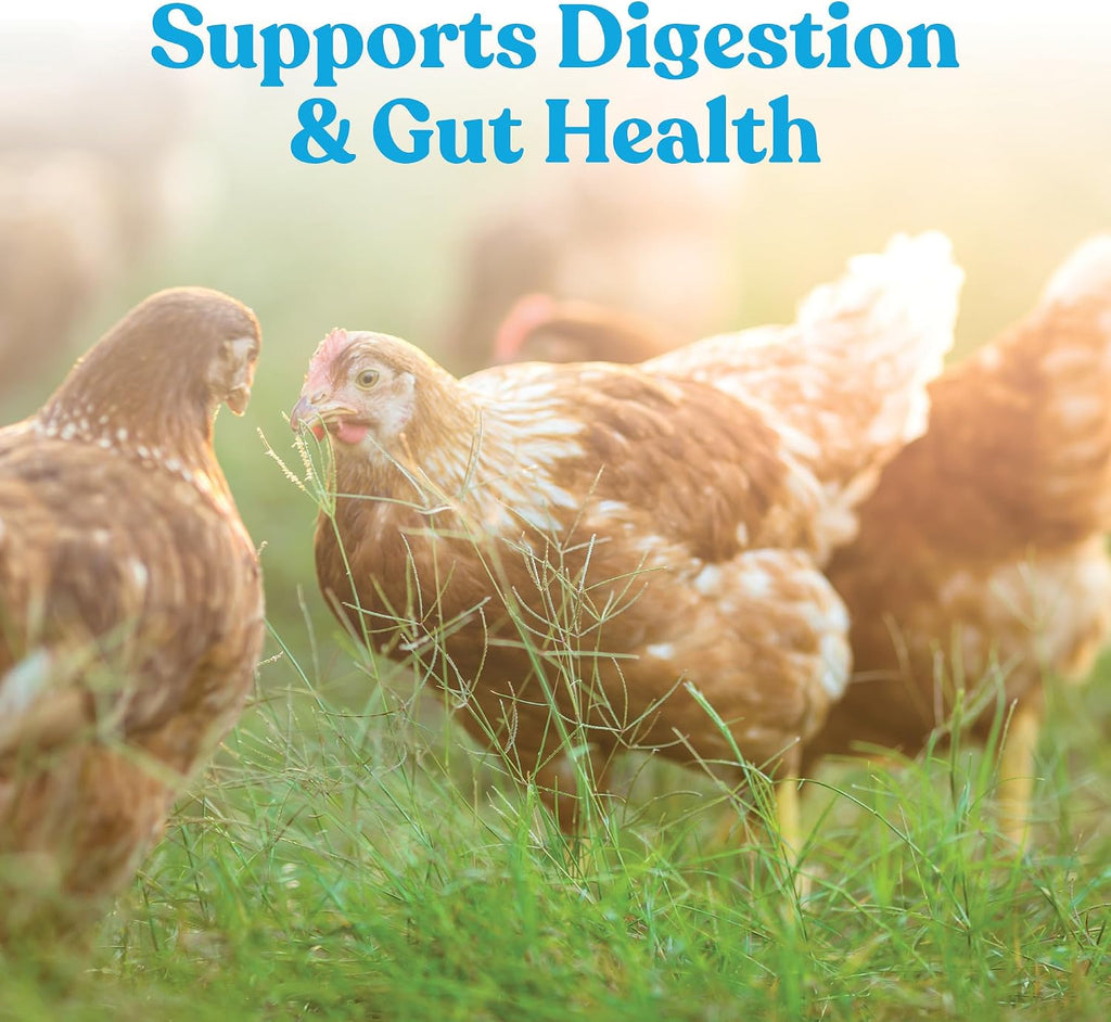 Hydro-Hen Chicken Electrolyte & Probiotic for Poultry, 20 oz