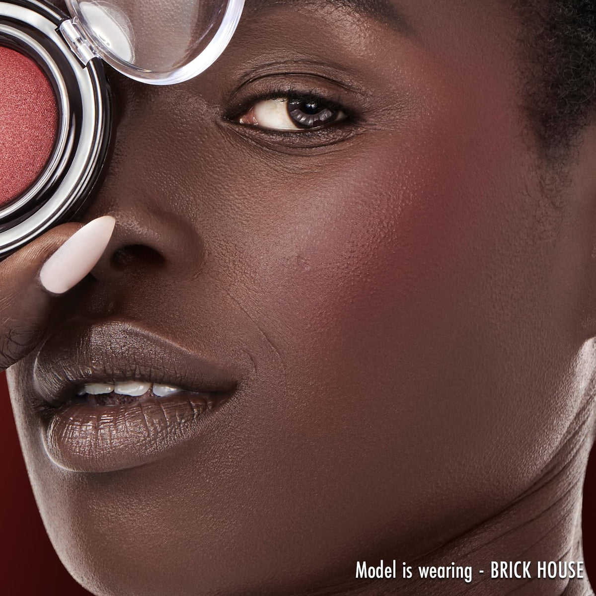 Artisan Color Baked Face Powder Blush Makeup, Red Brick House