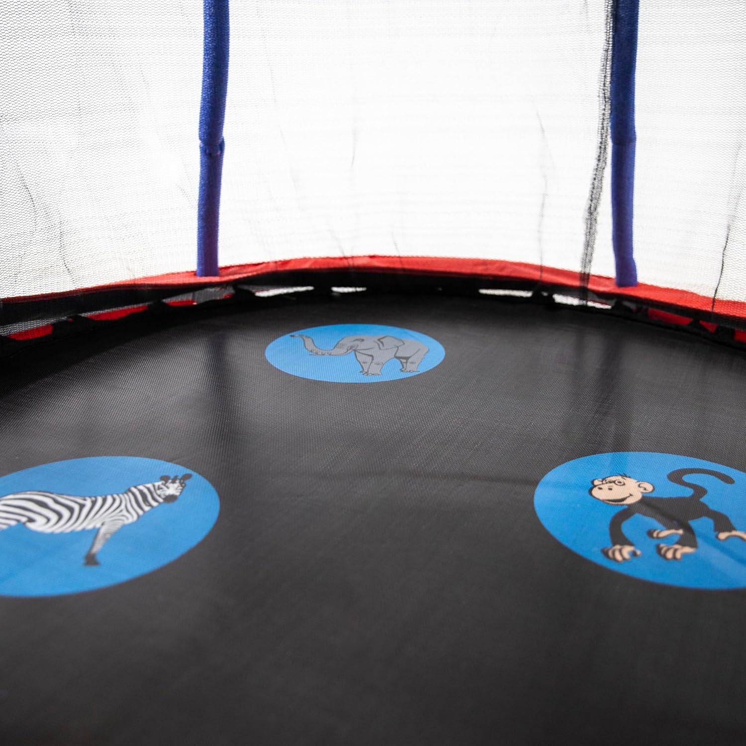 Mini Trampoline with Enclosure Net
