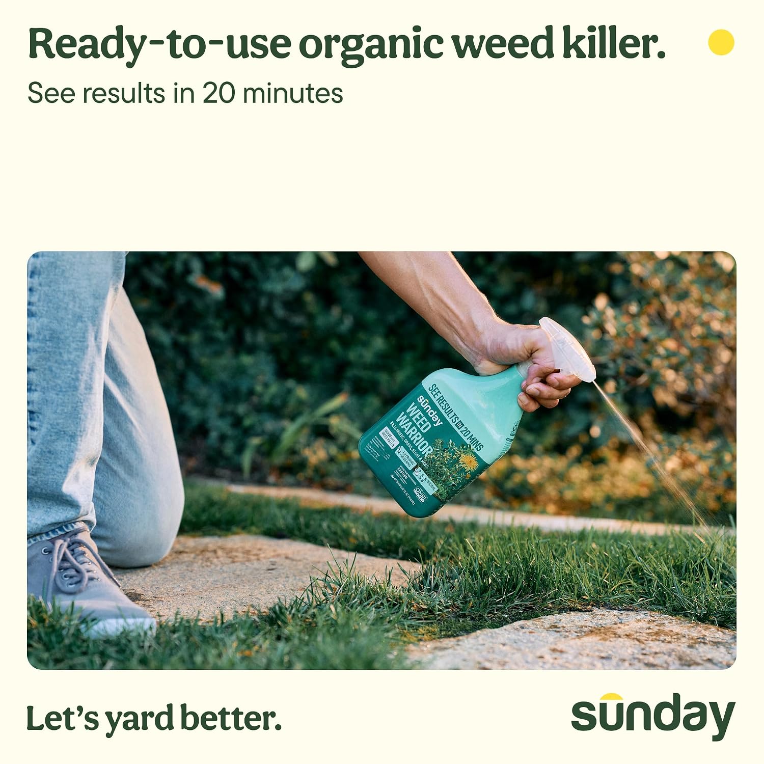 Weed Warrior, 32oz, 2 Pack - Grass & Weed Killer - Organic, Ready-to-Use Weed Killer Spray - Herbicide Spot Treatment