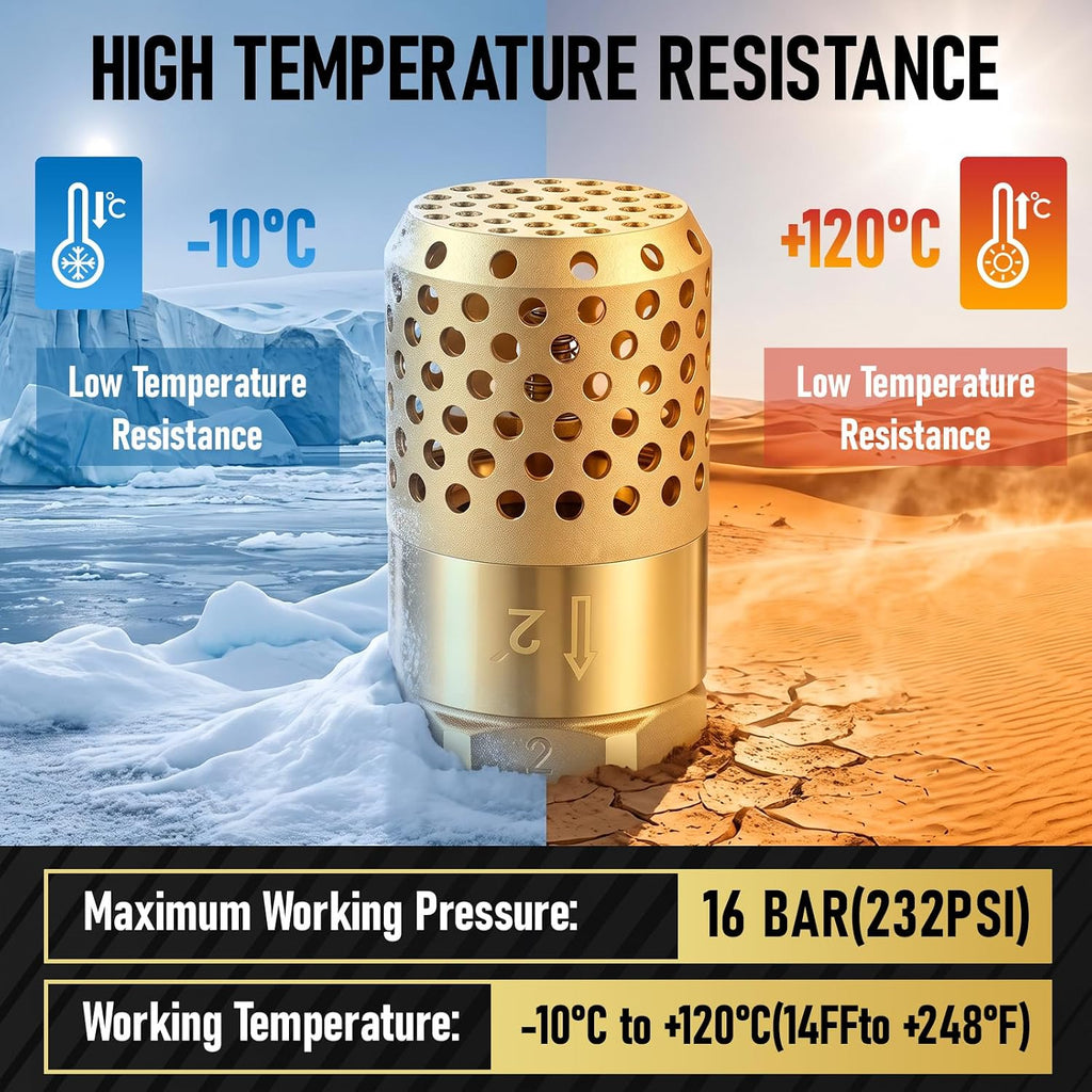 Hicarer 2 Inch NPT Brass Foot Valve with Mesh Strainer One Way Check Valve