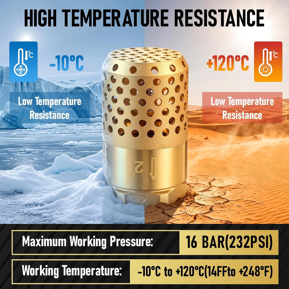 Hicarer 2 Inch NPT Brass Foot Valve with Mesh Strainer One Way Check Valve