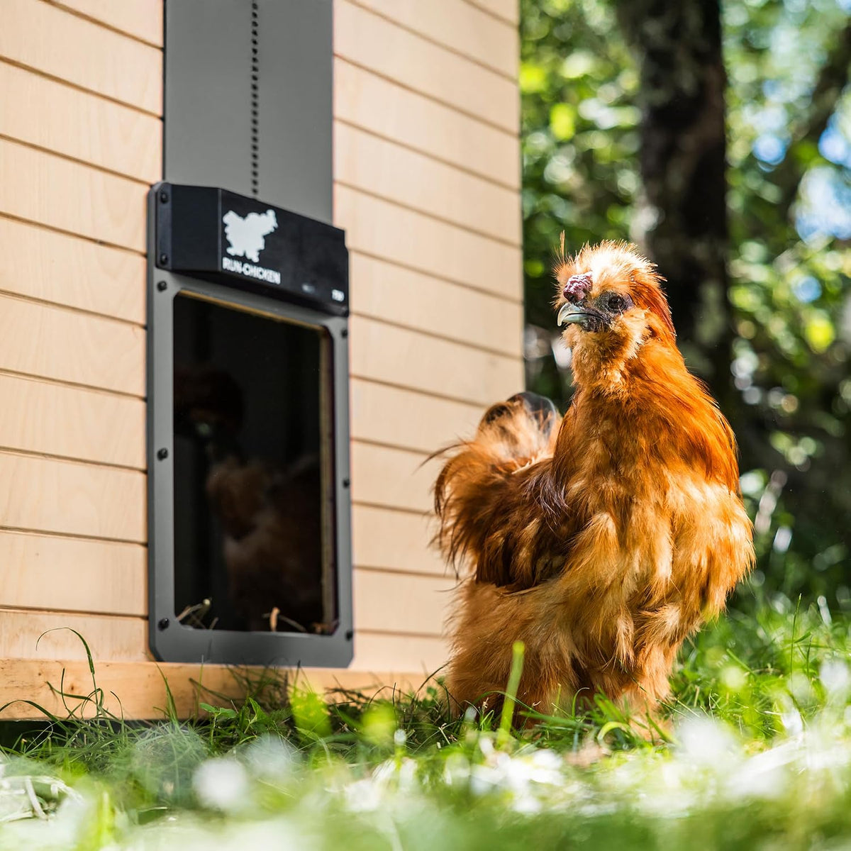 Door T50 – Automatic Chicken Coop Door Opener, Battery Powered & Weatherproof Aluminum, Smart App & Timer Control