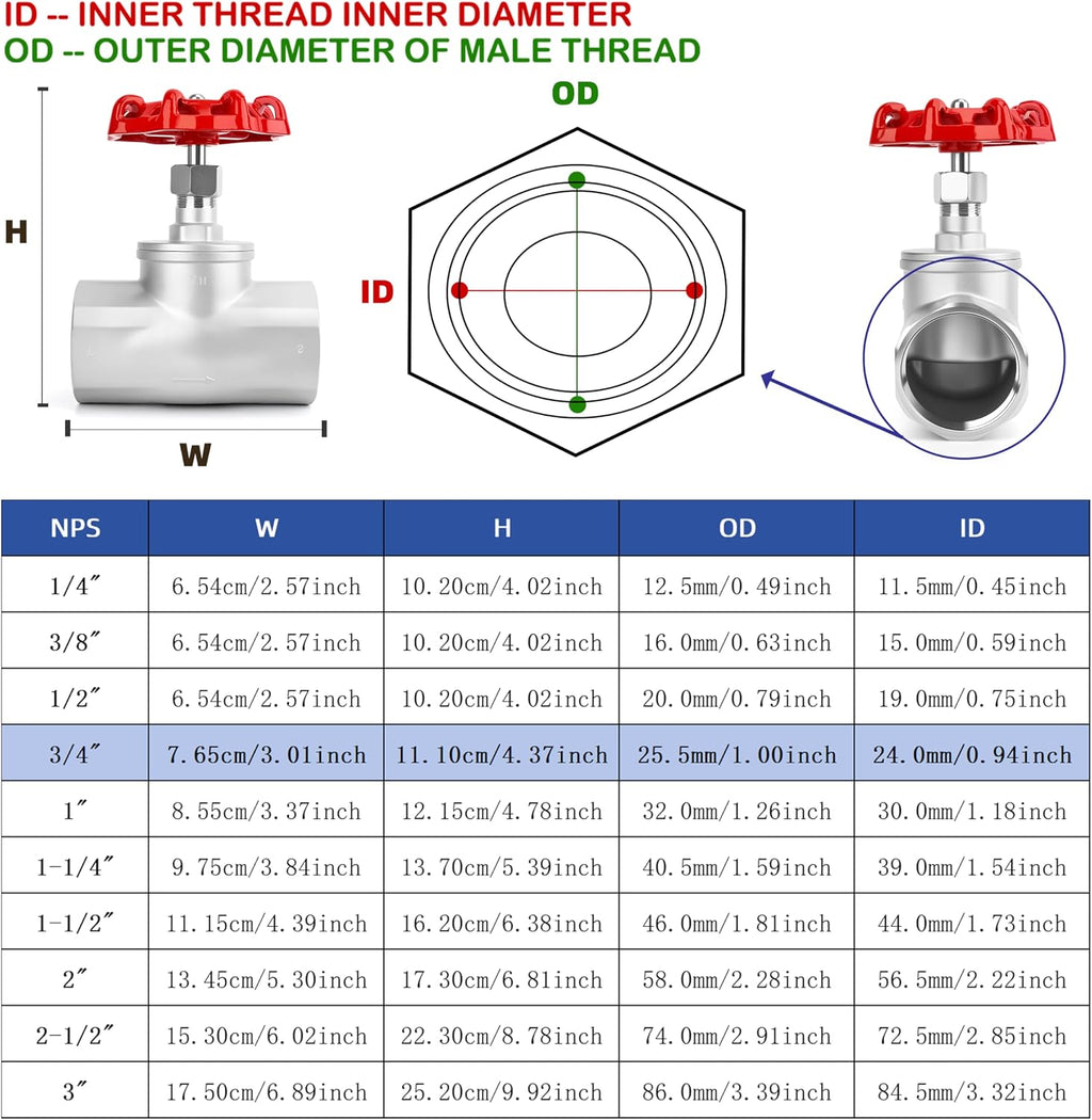3/4" NPT B-Type Straight Pattern Globe Valve, Stainless Female Thread, DN20