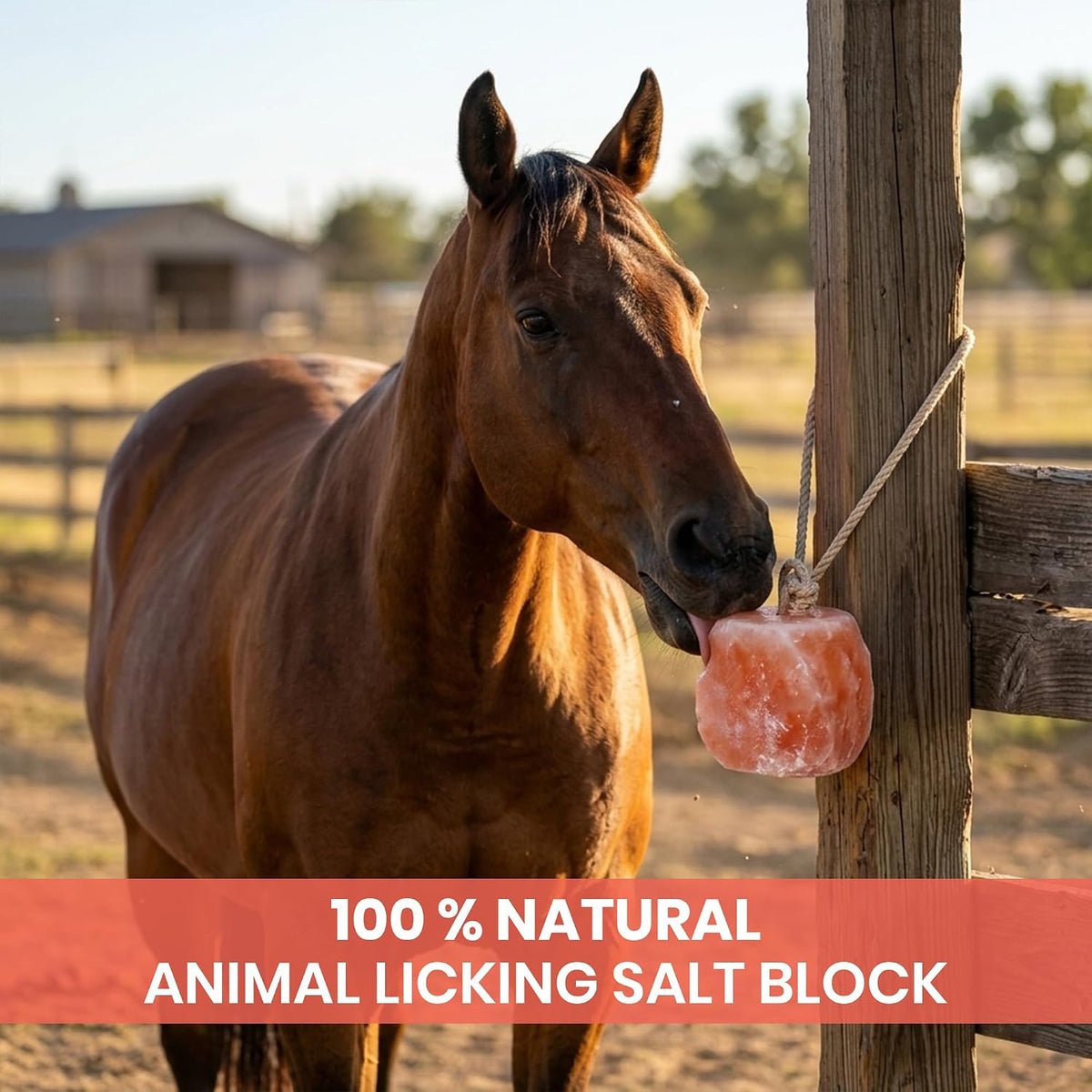8 Himalayan Salt Block for Horses with Rope Natural Horse Salt Lick for Hydration and Mineral Support