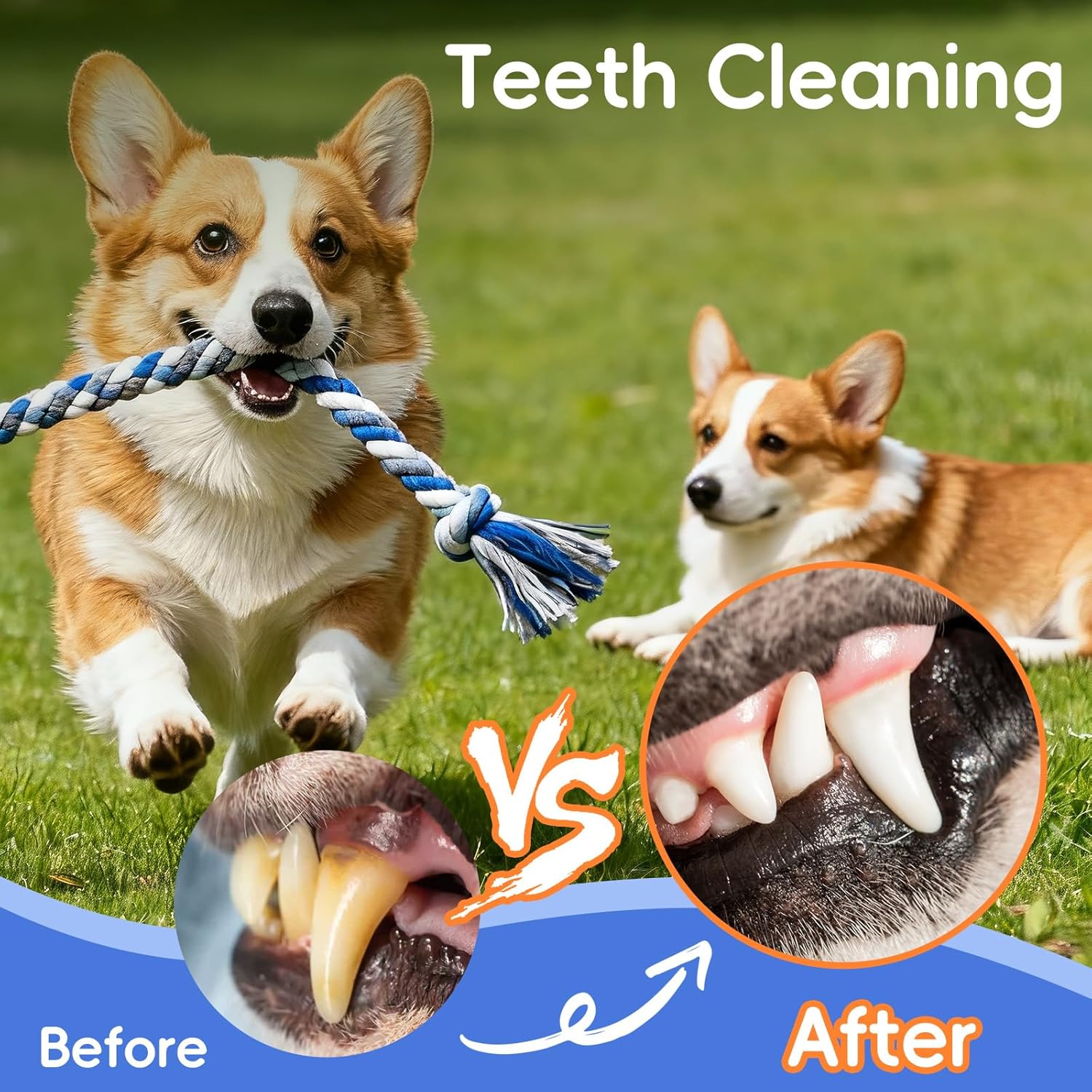 Dog Rope Toys 4 Pack, Puppy Teething Cotton Knot Chew Rope for Small Medium Dogs, Interactive Tug of War Dog Toys for