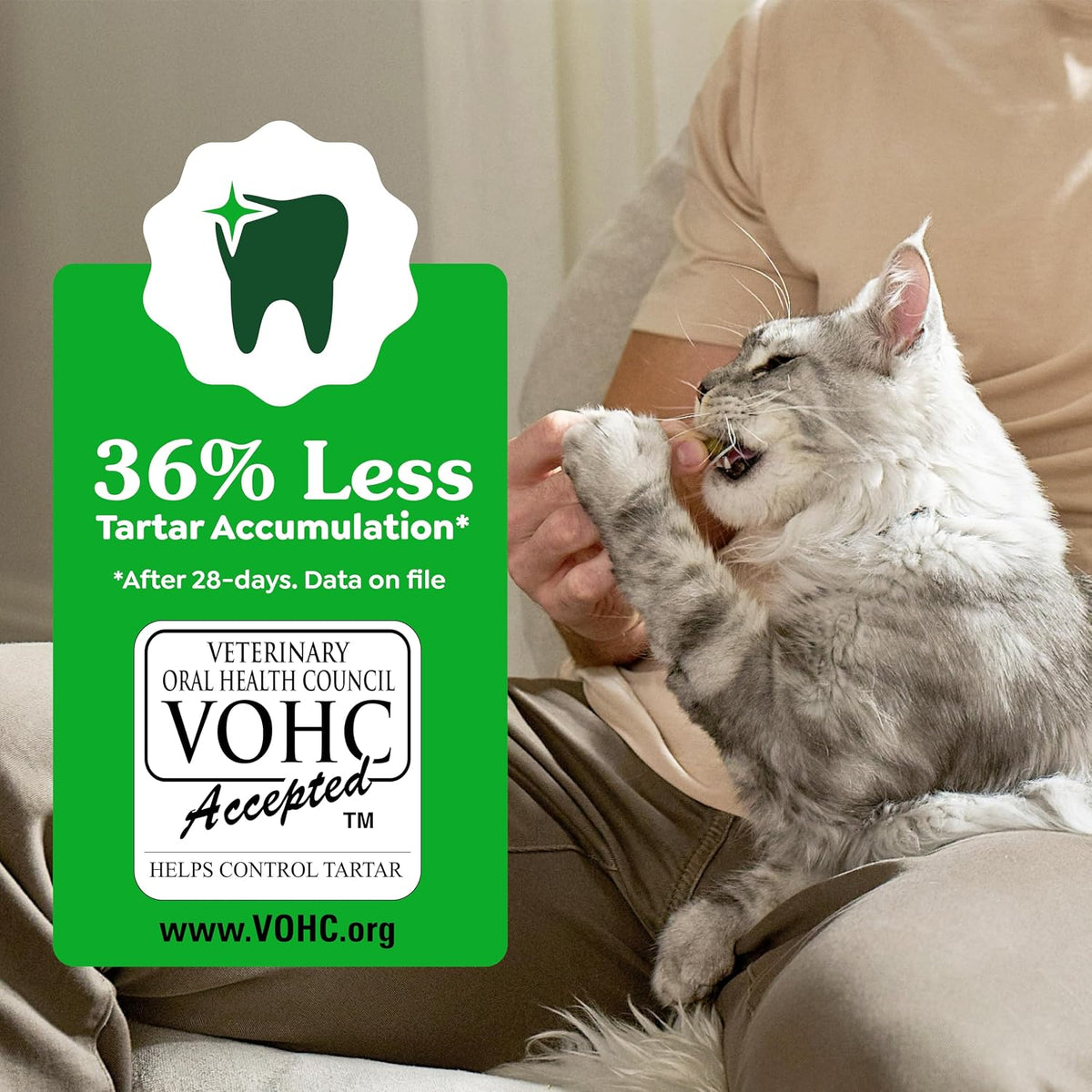 Feline Natural Dental Cat Treats, Catnip Flavor, 21 oz