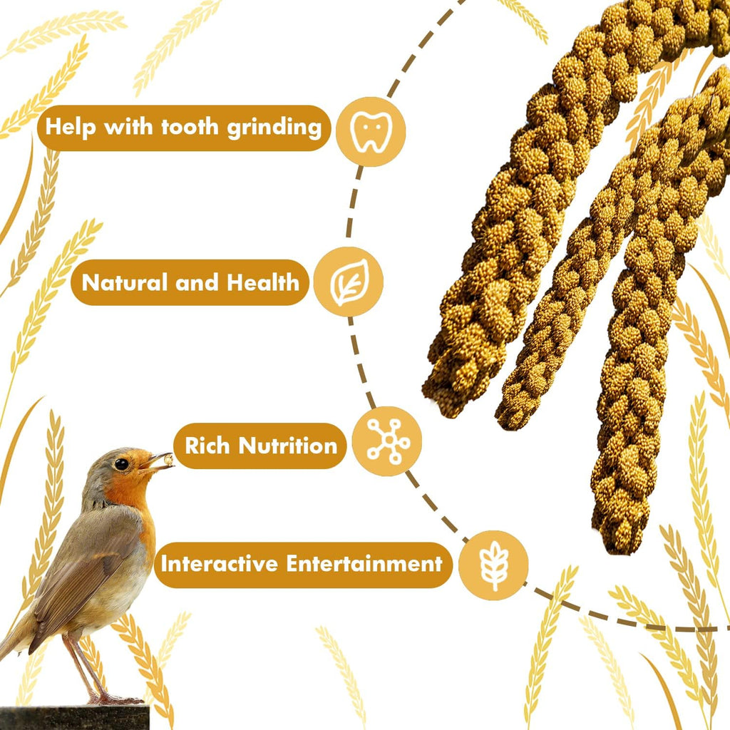 Spray Millet Treat for Birds Parakeets, Millet for Birds, Natural Bird Food | 1LB Healthy Bird Treat for Cockatiels