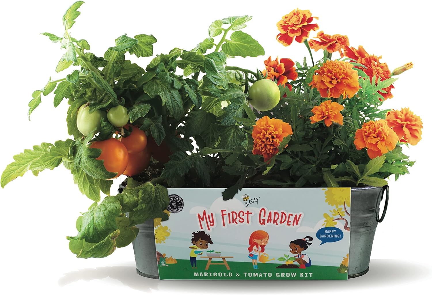 Seeds My First Garden Windowsill Grow Kit, Tomato and Marigold Seeds, Indoor Gardening Starter Set for Beginners, Fun