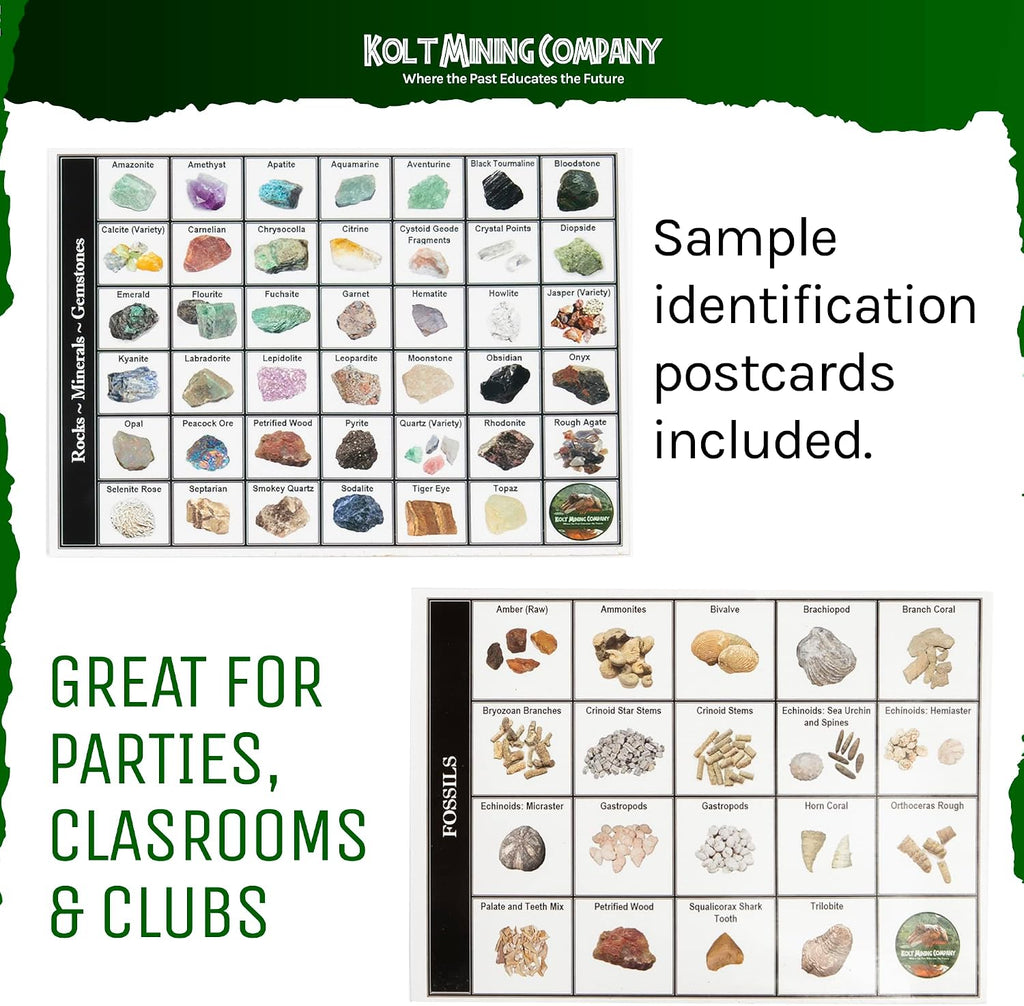 Adult Geology Kit: Rocks, Minerals, Fossils, Crystals & Shark Teeth