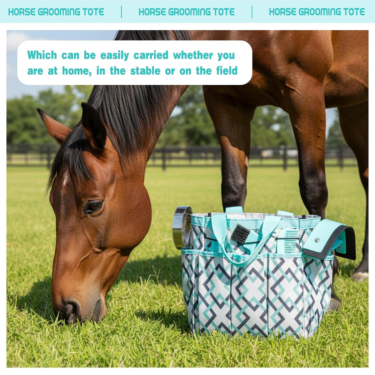 12 Piece Horse Grooming Kit with Organizer Tote Bag Brush Sets for Derby Day Show Horses Professional Tools for Care