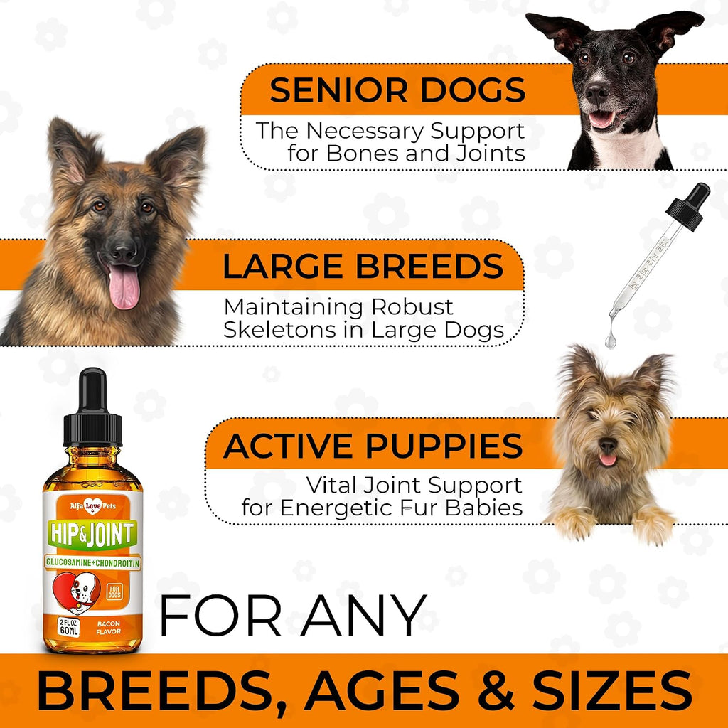 Glucosamine for Dogs + Chondroitinin in Liquid Form – Hip & Joint Supplement for Dogs to Care for Muscular System –