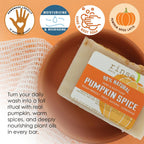 Pumpkin Spice Soap Bar Handmade Vegan 4.25 oz