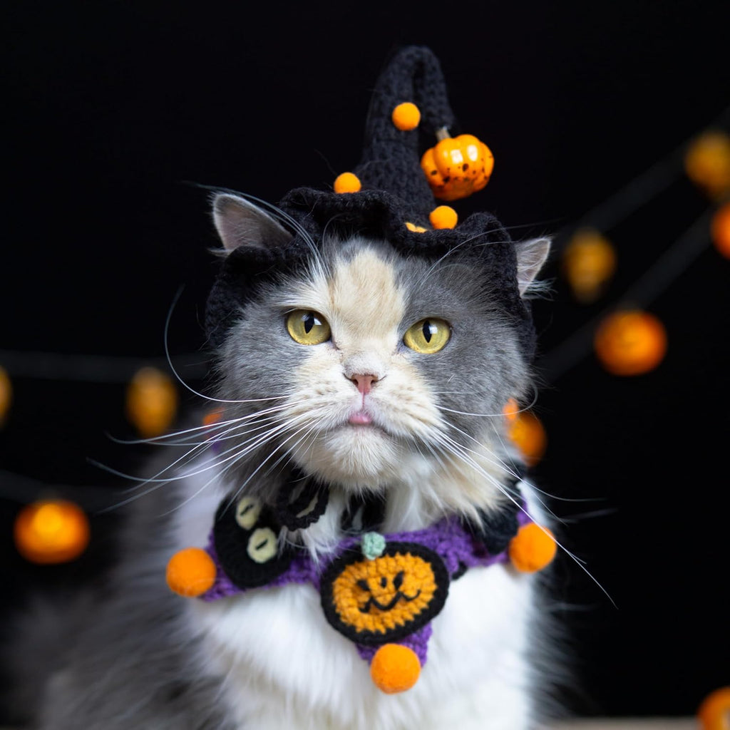 Halloween Dog Costume - Black Witch Hat & Halloween Outfit for Cats and Small Sized Dogs,Handmade Festive Halloween