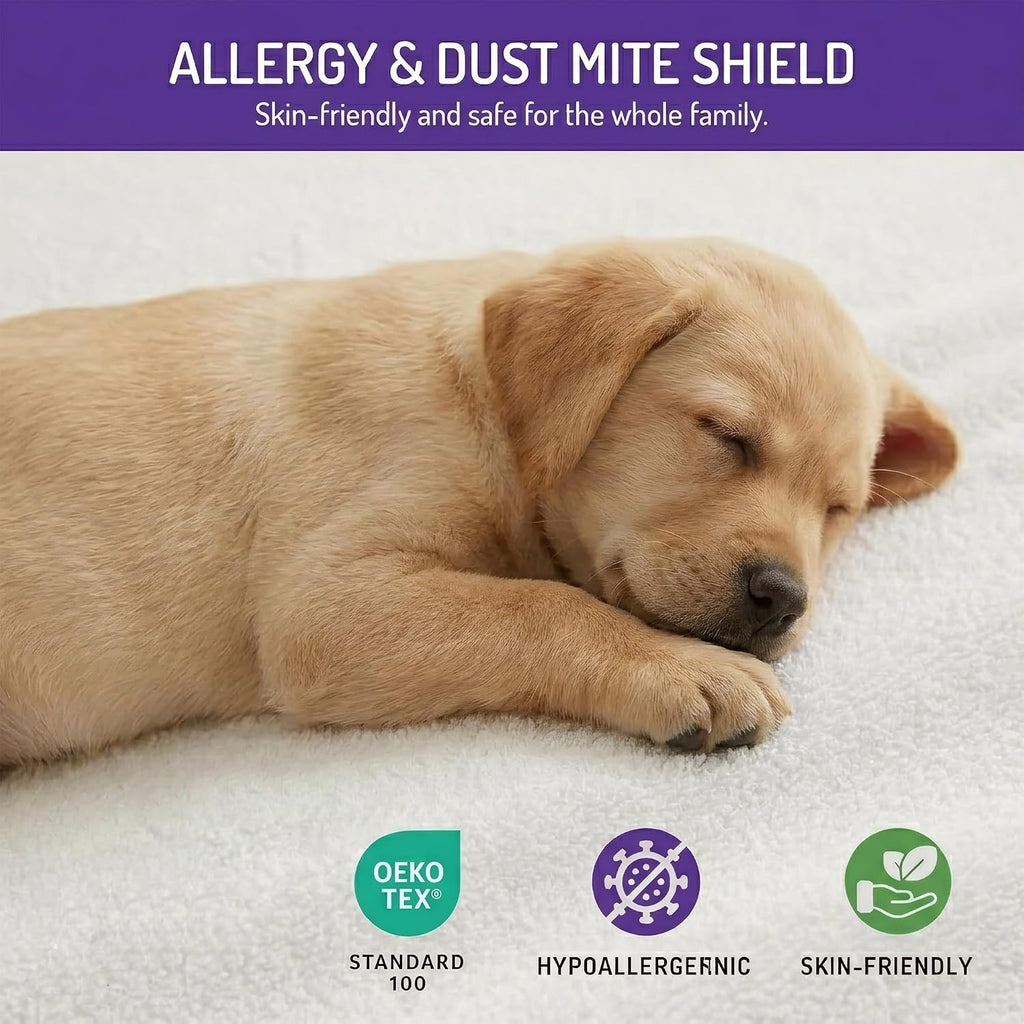 Bed Bug Mattress Cover Queen, Mattress Protector, Fits 13-15 Inch | Lab-Tested Bed Bug Barrier, Dust Mite Proof