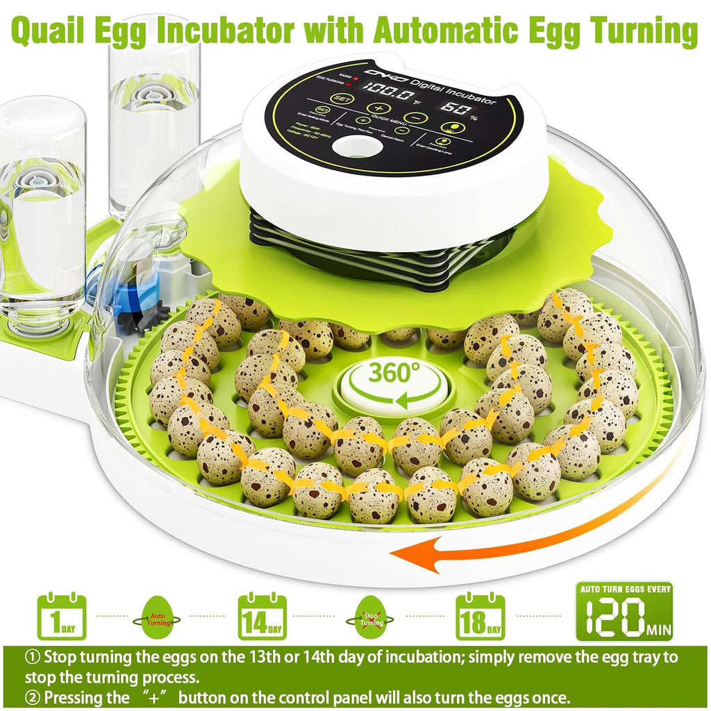 Quail Egg Incubator for Hatching 40 Quail Eggs with Automatic Turner