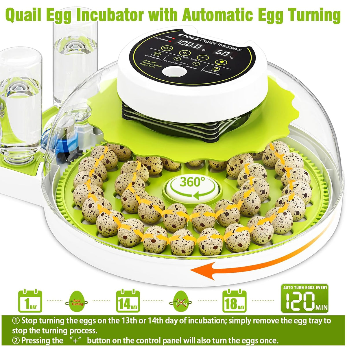 Quail Egg Incubator for Hatching 40 Quail Eggs with Automatic Turner