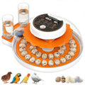 Quail Egg Incubator with Automatic Turner and Humidity Control