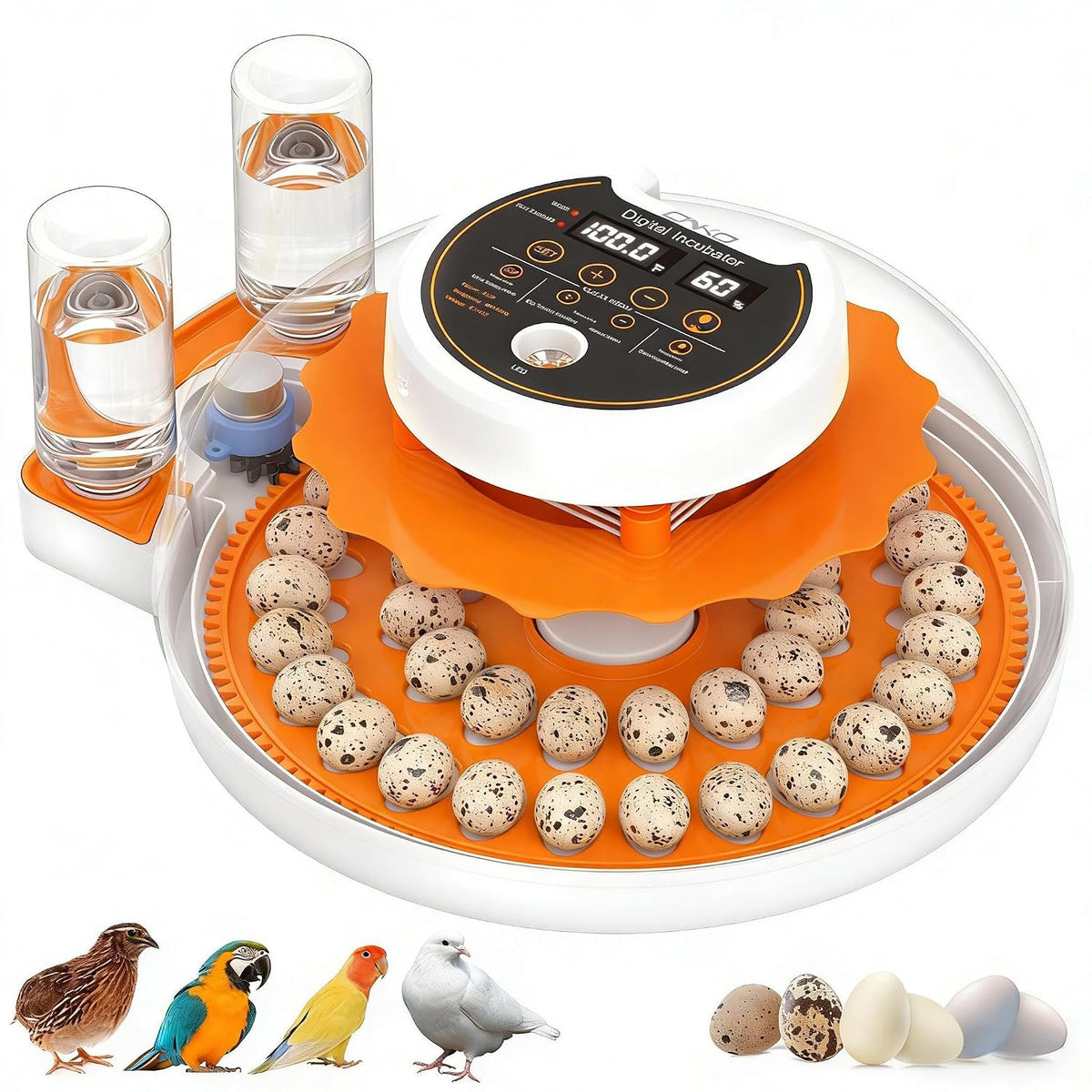Quail Egg Incubator with Automatic Turner and Humidity Control