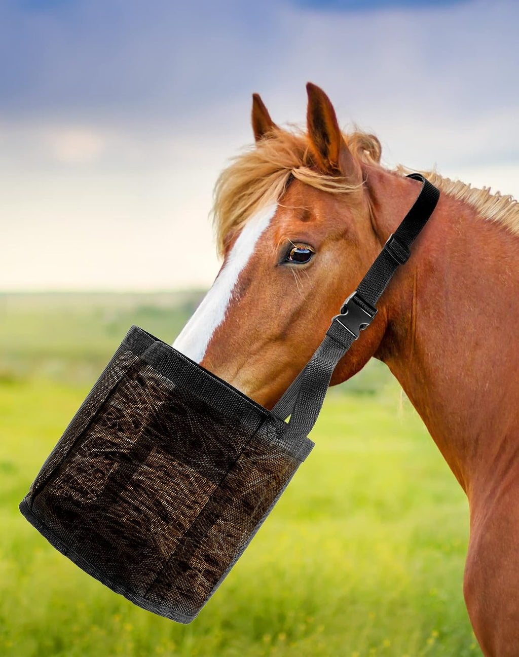 2 Pack Horse Feed Bag for Grain - Durable Mesh Grain Feeder with Adjustable Strap, Comfortable Neck and Nose Pad